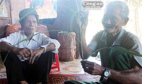 Kỳ bí loài cây mang tên bùa ngải "đoạn tình"