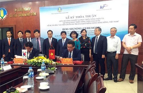 Hàn Quốc hỗ trợ xây dựng chuỗi giá trị lúa gạo ở đồng bằng sông Hồng