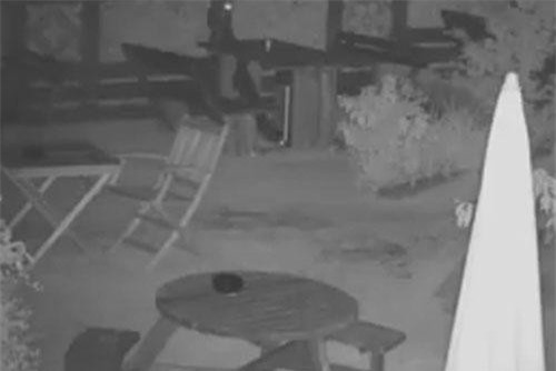 CLIP HOT (23/7): Hồn ma 'đi bar' lúc nửa đêm, Không quân Mỹ phát hiện UFO kỳ quái