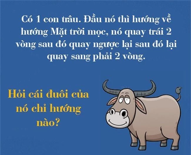 Câu đố 4