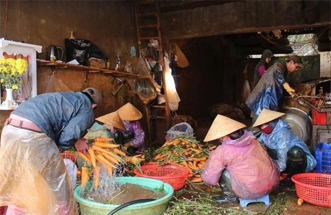 Phát triển chuỗi liên kết sản xuất, chế biến và tiêu thụ nông sản Đà Lạt - Lâm Đồng là điều kiện sống còn của người nông dân (Ảnh: VH) 