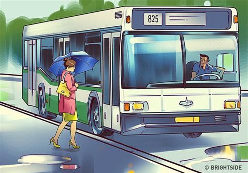 Chỉ những người có thị lực 10/10 mới tìm ra đáp án trong 10 giây