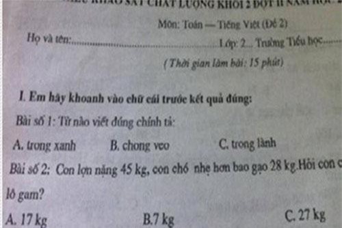 Ngay cả giáo sư cũng phải ‘điên đầu’ với bài toán của học sinh tiểu học này