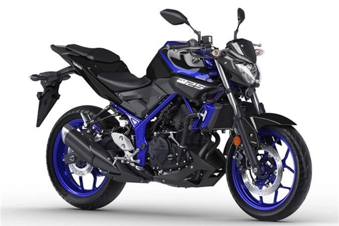 Can canh Yamaha MT-25 2019 gia hon 79 trieu dong hinh anh 1