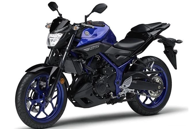 Can canh Yamaha MT-25 2019 gia hon 79 trieu dong hinh anh 2