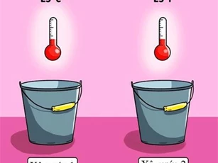 Giải được câu đố dưới đây bạn phải là người có cả kho kiến thức trong đầu.