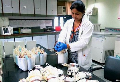 Hồ sơ Interpol: Thị trường “máu bẩn” ở Ấn Độ