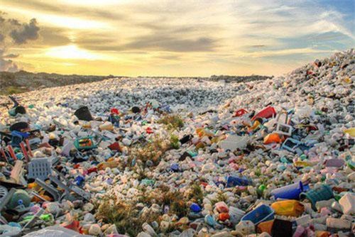 Việt Nam sẵn sàng cùng quốc tế giải quyết vấn đề rác thải nhựa