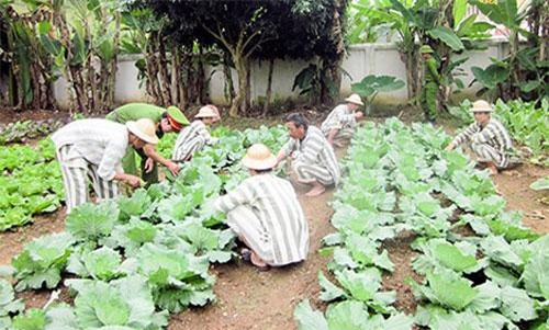 'Đắng lòng' gã buôn người nhìn vợ bế con đi lấy chồng