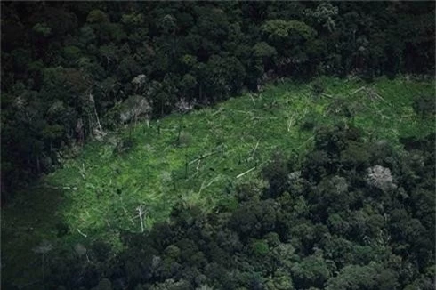 Ảnh lạ ghi lại cuộc sống thổ dân ở rừng rậm Amazon - ảnh 8