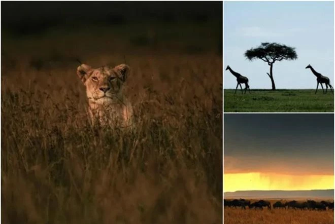 Khui ngay loạt tọa độ có thật trong siêu phẩm “The Lion King” 2019: Toàn cảnh đẹp thiên nhiên hoành tráng bậc nhất thế giới! - Ảnh 4.