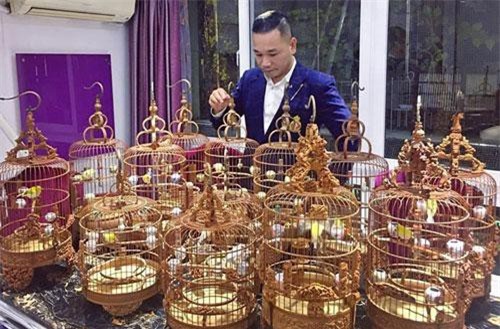 'Hoa mắt' với bộ sưu tập tiền tỷ của 'vua chim cảnh Việt Nam'
