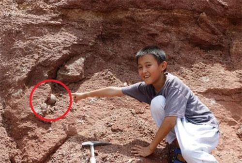 Đang đi chơi tung tăng bên bờ sông, cậu bé 9 tuổi phát hiện ra trứng khủng long 600 triệu năm khiến cả MXH phải trầm trồ