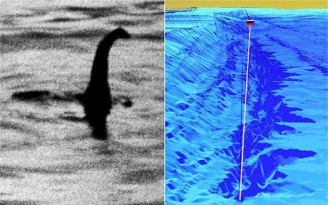 Nghi vấn quái vật hồ Loch Ness là thằn lằn đầu rắn khổng lồ, sống cách đây 245 triệu năm - Ảnh 2.
