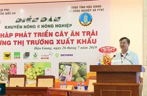 Giải pháp phát triển cây ăn quả đáp ứng thị trường xuất khẩu