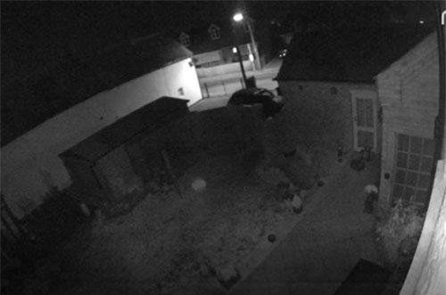 CLIP HOT (27/7): Hồn ma trẻ con đi lang thang trong vườn lúc nửa đêm, lợn rừng chết ‘tức tưởi’ khi gặp kẻ săn mồi ranh ma