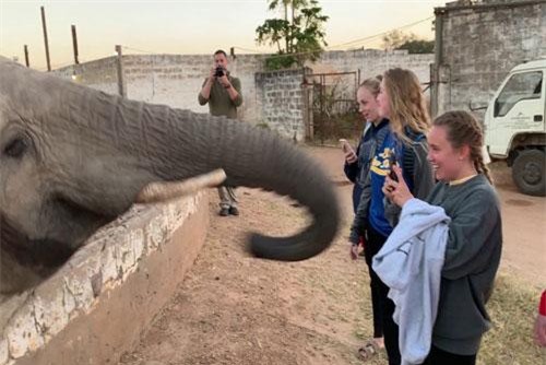 Thiếu nữ trả giá đắt cho việc chụp ảnh voi hoang dã