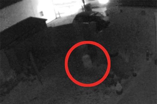 ‘Rùng mình’ cảnh hồn ma trẻ con đi lang thang trong vườn lúc nửa đêm