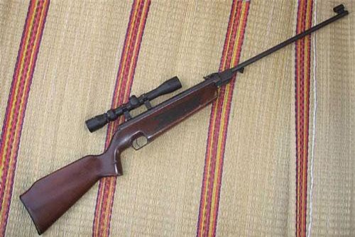 Đồng Nai: Bắn chết bạn săn vì súng hơi cướp cò