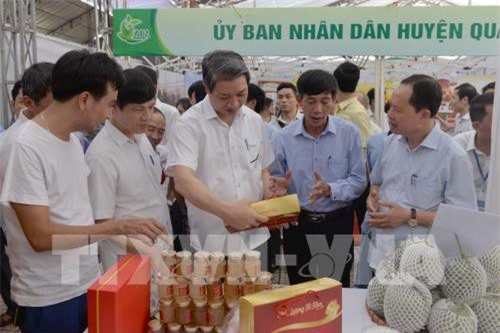 Kết nối tiêu thụ liên vùng - chìa khóa giúp nông sản Việt giữ vững thị trường