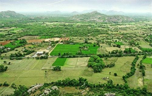 "Vò đầu bứt tóc" mãi mà vẫn không thể tìm ra câu trả lời