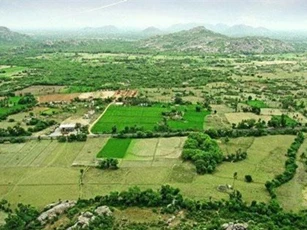 "Vò đầu bứt tóc" mãi mà vẫn không thể tìm ra câu trả lời