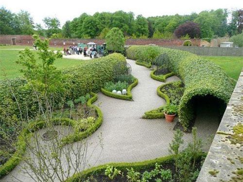 Khu vườn kỳ lạ: Nơi chạm vào cây cũng gây chết người