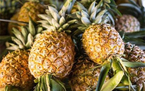 Lợi ích bất ngờ của nước ép dứa đối với sức khỏe