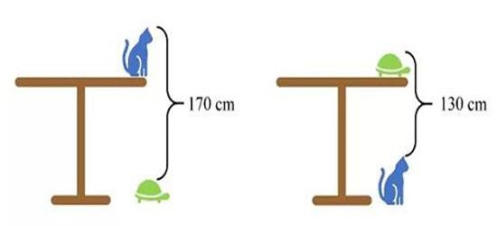 Câu đố toán học dành cho các em nhỏ tiểu học nhưng người lớn lại 'chào thua'