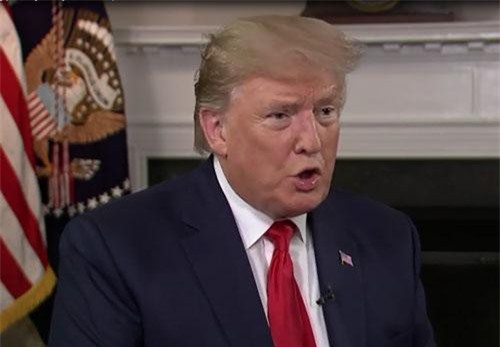 CLIP HOT (31/7): 'Sốc' với lý do Tổng thống Trump 'nghiện' Twitter, chim bồ nông nuốt sống chim non