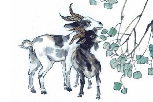 3 con giáp may mắn đỏ trời xoay chuyển càn khôn từ hung hóa cát trong 2 tuần đầu tháng 8