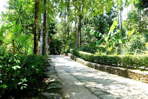 L&#xE0;ng c&#x1ED5; L&#x1ED9;c Y&#xEA;n: N&#xE9;t &#x111;&#x1EB9;p b&#xEC;nh y&#xEA;n c&#x1EE7;a v&#xF9;ng &#x111;&#x1EA5;t &#x201C;Th&#x1EAD;p ng&#x169; Ti&#xEA;n sa&#x201D;