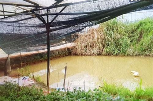 Lâm Đồng: Phát hiện thi thể đôi nam nữ dưới hồ trữ nước tưới