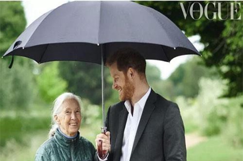 Hoàng tử Harry tuyên bố: Chỉ sinh 2 con để bảo vệ môi trường, cứu lấy hành tinh khiến cộng đồng mạng phẫn nộ