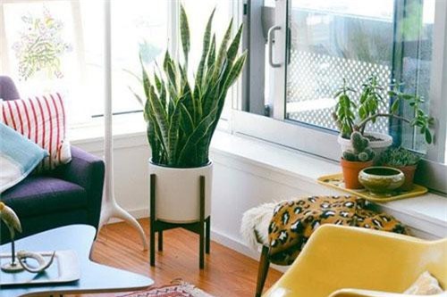 Đặt 6 thứ này đầu giường, gia chủ cẩn thận gặp họa tán gia bại sản