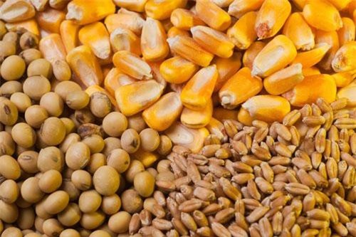 Thị trường hàng hóa đồng loạt giảm điểm