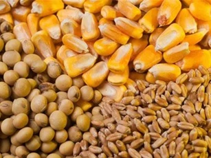 Thị trường hàng hóa đồng loạt giảm điểm