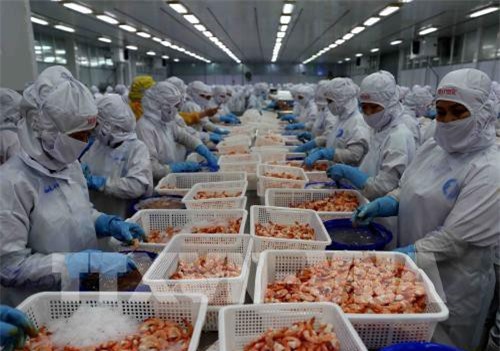 CPTPP v&#xE0; EVFTA : C&#x1A1; h&#x1ED9;i &#x111;&#x1EC3; th&#x1EE7;y s&#x1EA3;n Vi&#x1EC7;t Nam ph&#xE1;t tri&#x1EC3;n b&#x1EC1;n v&#x1EEF;ng