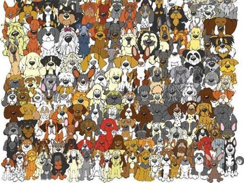 "Mờ mắt" tìm ra đáp án đúng ở câu đố kiểm tra độ tinh mắt