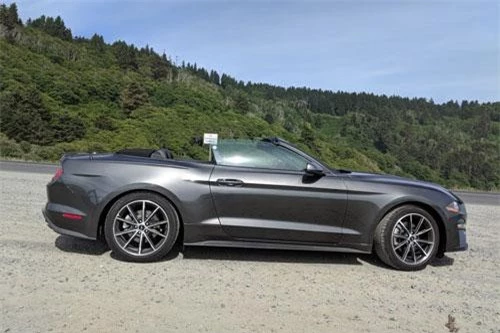 6. Ford Mustang EcoBoost Convertible 2019 (giá khởi điểm: 31.180 USD).