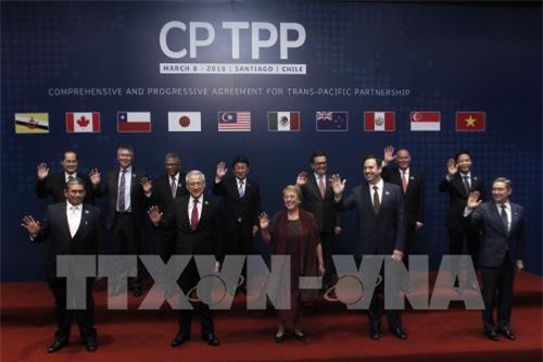 Thực thi CPTPP: Quyền bảo hộ sở hữu trí tuệ có nhiều sửa đổi