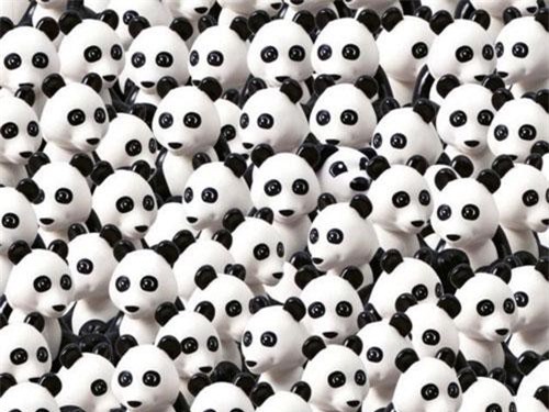 "Test thị lực" của bạn bằng câu đố đơn giản