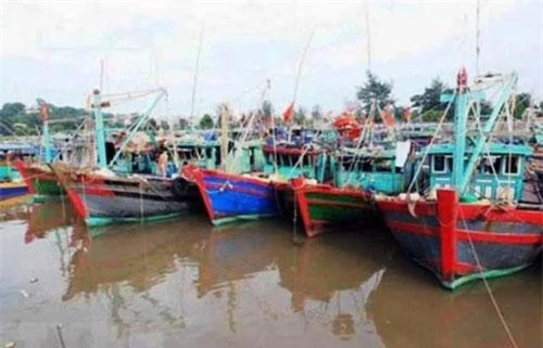 Tỉnh Thái Bình cũng đã kêu gọi 1.279 tàu, thuyền đang làm ăn trên vùng biển của tỉnh vào bờ, tổ chức neo đậu an toàn