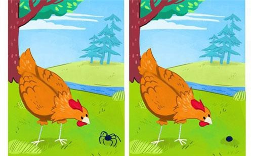 Có 8 điểm khác biệt của 2 bức tranh này: Đố bạn nhìn ra được trong 3 giây