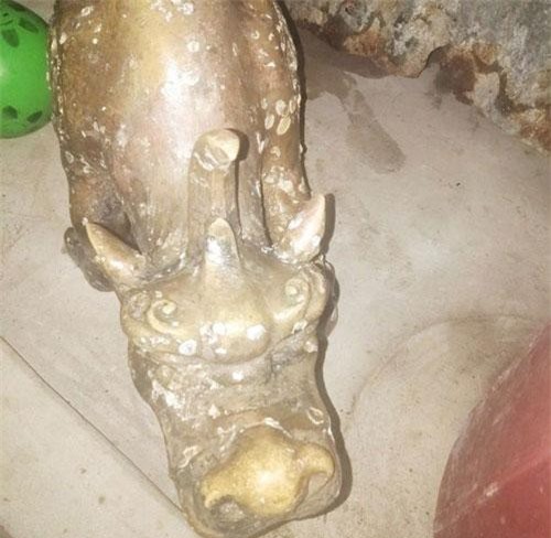 Cà Mau: Xác minh tượng “quái thú 2 đầu” người mò được ở cửa biển