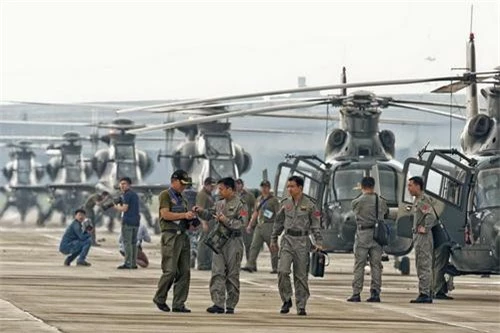 Quy mô phi đội trực thăng vũ trang của Trung Quốc sẽ lên tới mức cực lớn. Ảnh: China Military.