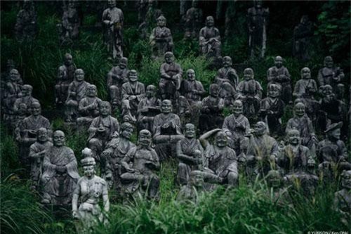 Cảnh tượng giật mình ở “rừng tượng ma” khét tiếng Nhật Bản