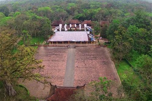 18 cây di sản hàng trăm tuổi ở khu di tích Lam Kinh