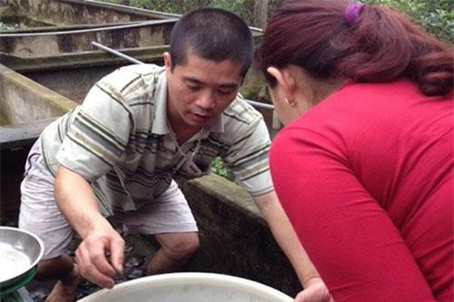 Yên Bái: Nuôi ba ba gai trên miền núi lãi cả tỷ đồng mỗi năm