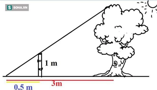 Cách giải toán kinh điển của ông trạng Việt khiến sứ giả Trung Quốc cúi đầu bẽ mặt - Ảnh 5.